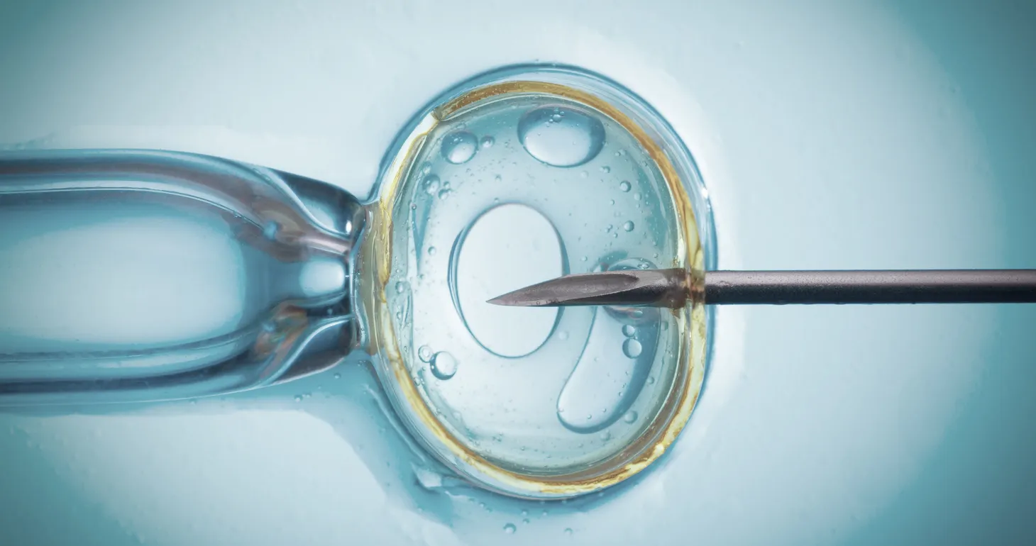 Sanidad Burgos: 7 falsos mitos de la reproducción asistida