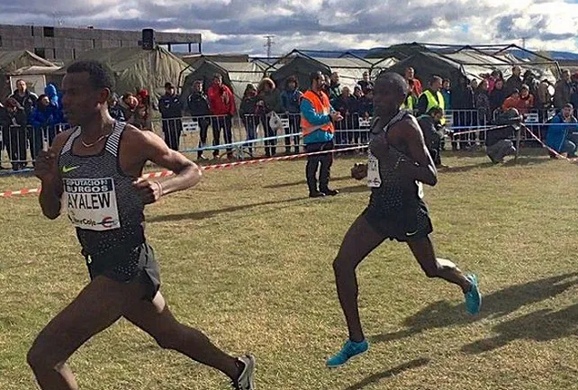 Deportes Burgos: Los campeones de España de Cross y los subcampeones de Europa, correrán el Cross Atapuerca
