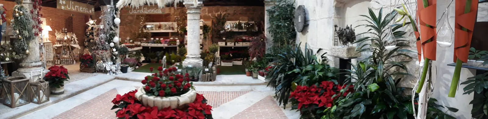 Cultura Burgos: El Palacio de Castilfalé se cubre de flores durante la Muestra floral navideña