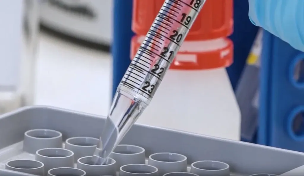 Sanidad Burgos: La UBU estudia el microbioma intestinal en pacientes con diarreas crónicas