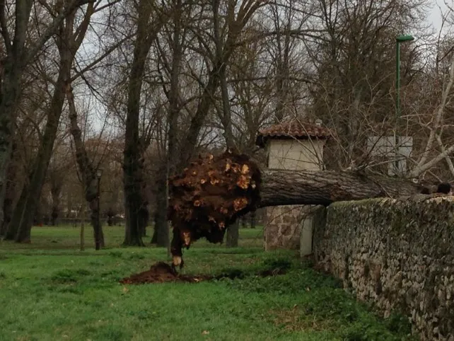 Actualidad Burgos: La lluvia dejará verse en la capital acompañada de vientos que alcanzan los 45 km/h