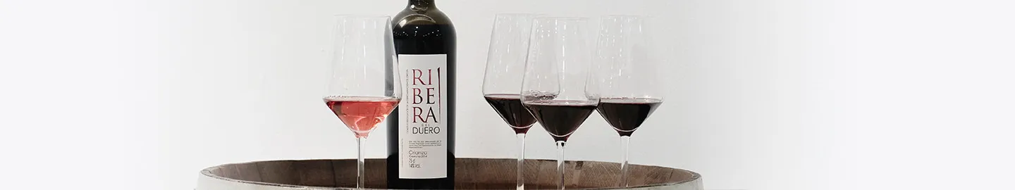 Tierra de Sabor Burgos: D.O Ribera del Duero