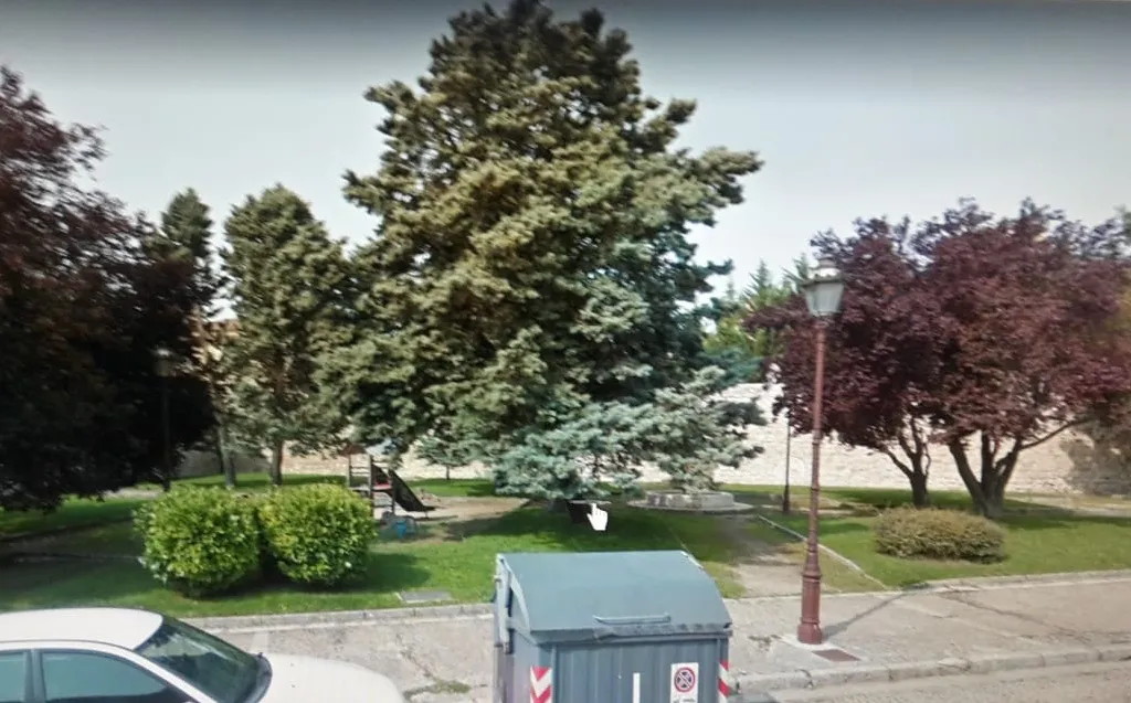 Local Burgos: PCAS-TC lamenta que el alcalde perpetre otro arboricidio ahora en Alfonso VIII