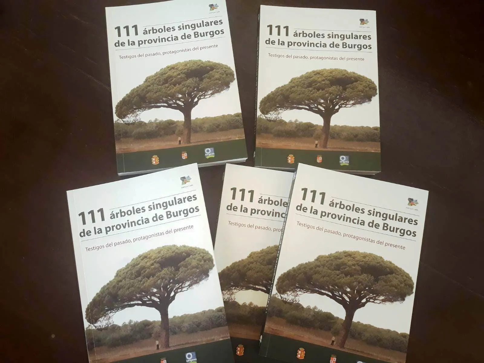 Provincia Burgos: 111 árboles singulares de la provincia de Burgos, un libro a favor de la biodiversidad