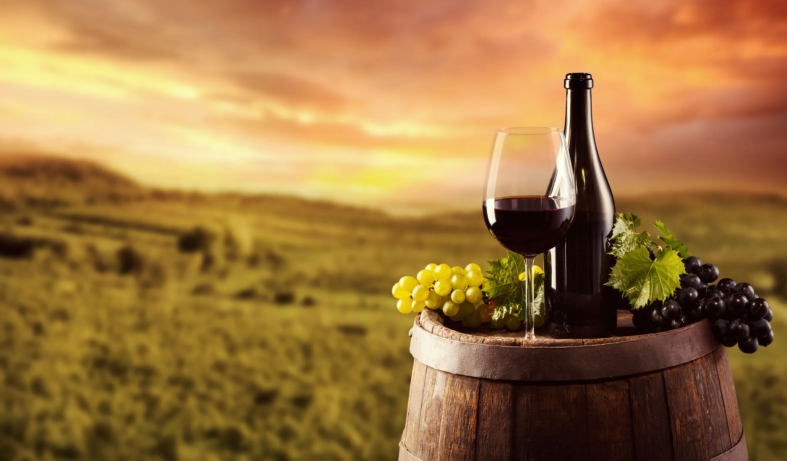 Local Burgos: El alma de los vinos únicos llega a su quinta edición batiendo récords