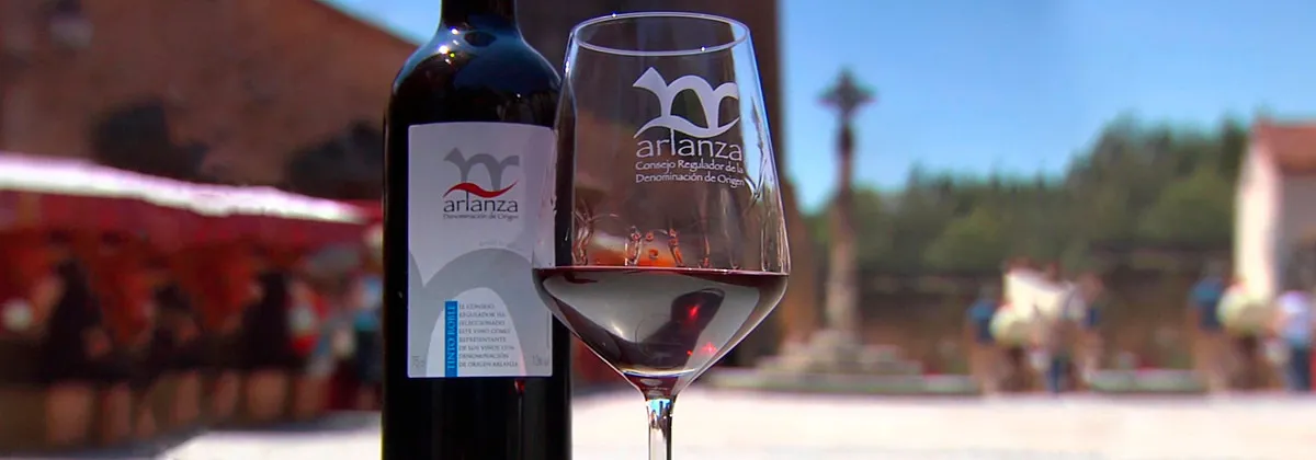 Tierra de Sabor Burgos: Denominación de Origen Arlanza