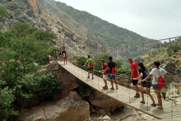 Actualidad Burgos: La Junta pone a disposición de los jóvenes más de 400 plazas para los campos de voluntariado juvenil que se celebrarán durante el próximo verano