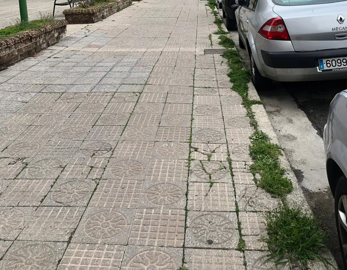Foto denuncia Burgos: Denuncia: La acera parece un huerto urbano