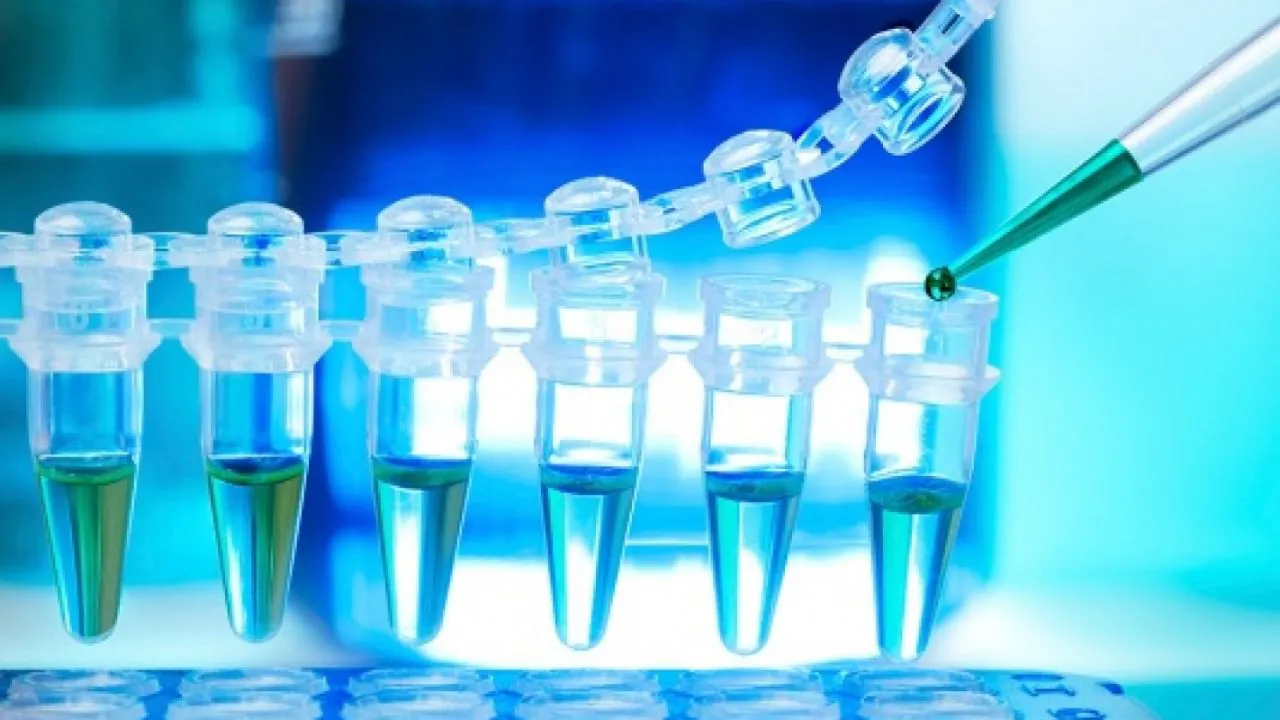 Educación Burgos: Valladolid contará con un grado similar al de Ingeniería de la Salud