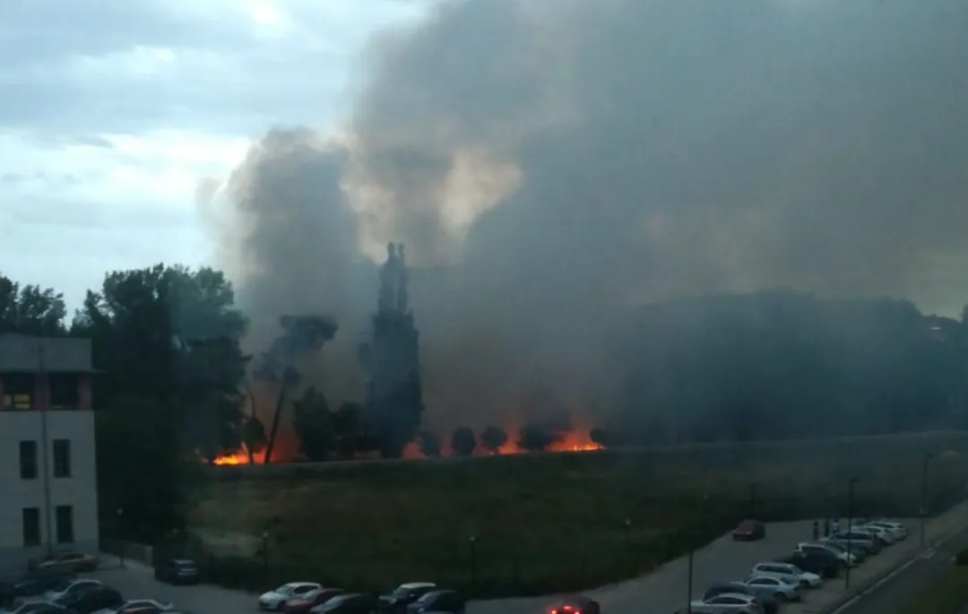 Local Burgos: El Parral arde tras otro juego de quema de pelusas