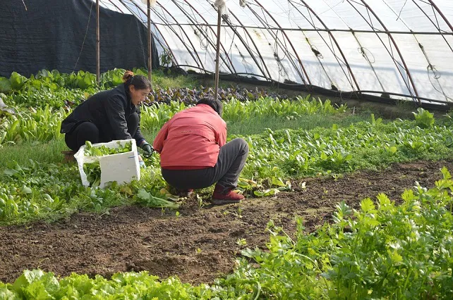 Castilla y León Burgos: La mujer representa ya el 54 % del emprendimiento económico en el medio rural de la Comunidad