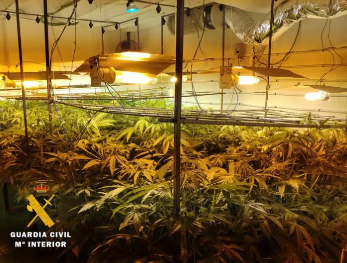 Desmantelan un laboratorio ‘indoor’ de marihuana en el alfoz de Burgos