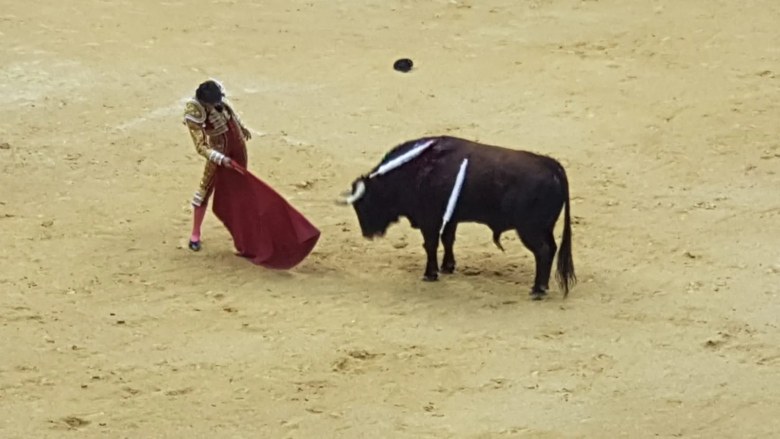 Ferreras y Castella reciben los dos primeros trofeos de la Feria de San Pedro