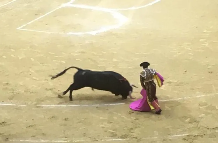 Fiasco total de toros y toreros en la corrida de Bañuelos