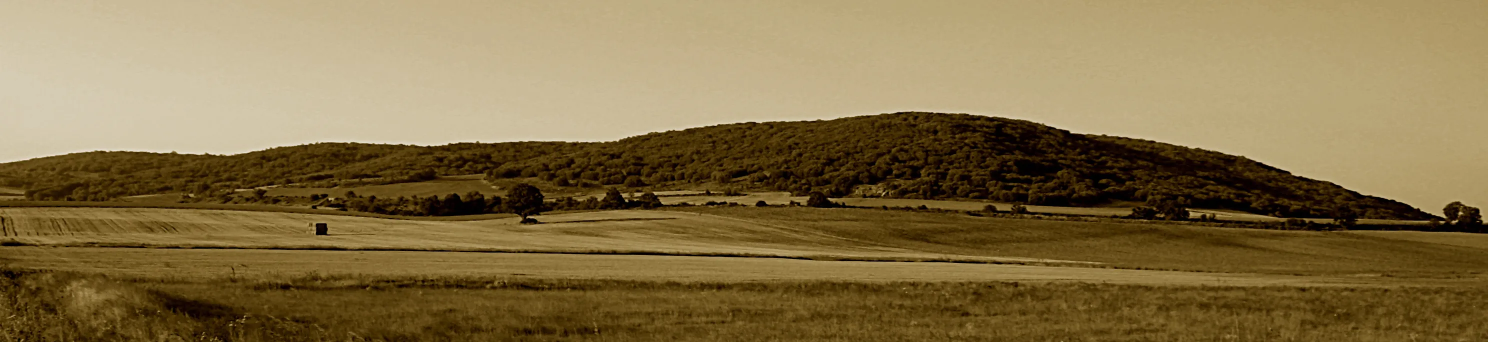 Historia Burgos: Batalla de Atapuerca