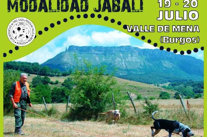 El Campeonato de España de Perros de Rastro sobre jabalí 2019 se disputa este sábado en el Valle de Mena