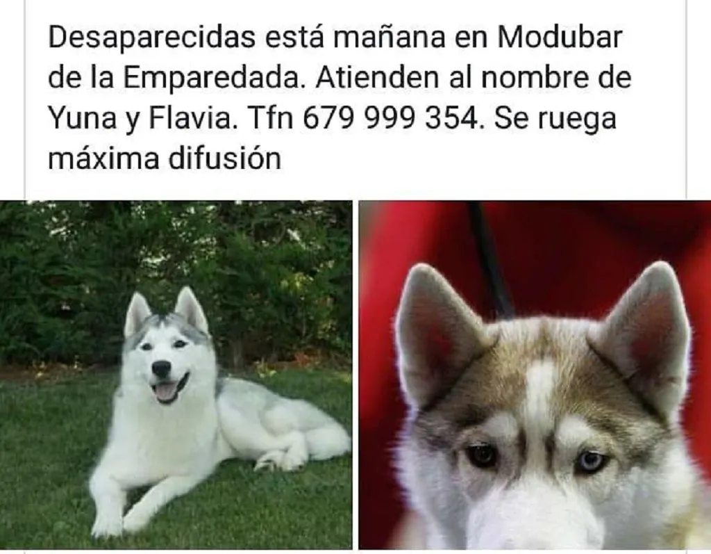 Burgosnoticias.com - Información, noticias, actualidad, deportes y sucesos de Burgos
