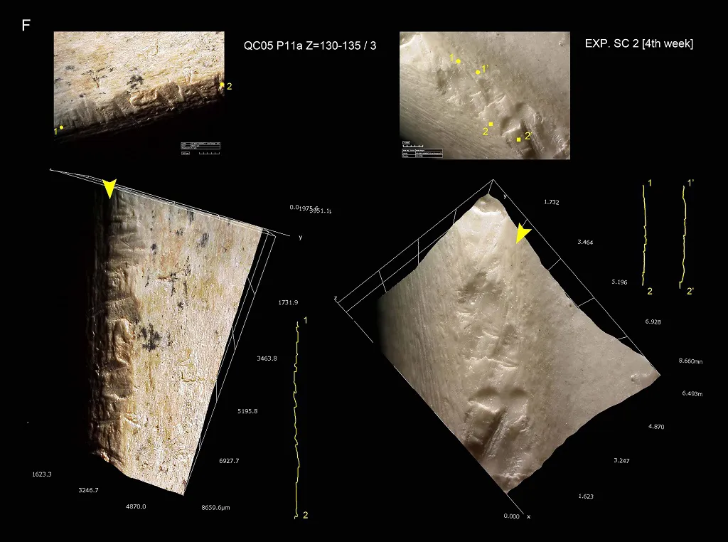 Una despensa de hace 400.000 años en el yacimiento israelí de Qesem Cave