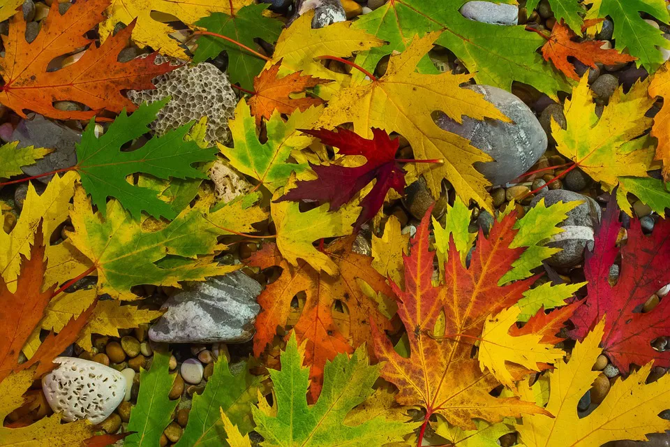 Cómo cuidar la piel en otoño después de los excesos del verano