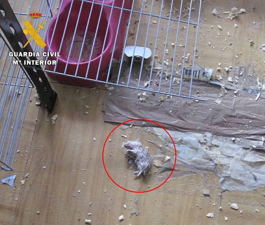 La Guardia Civil investiga por abandono y maltrato animal al propietario de un negocio de mascotas