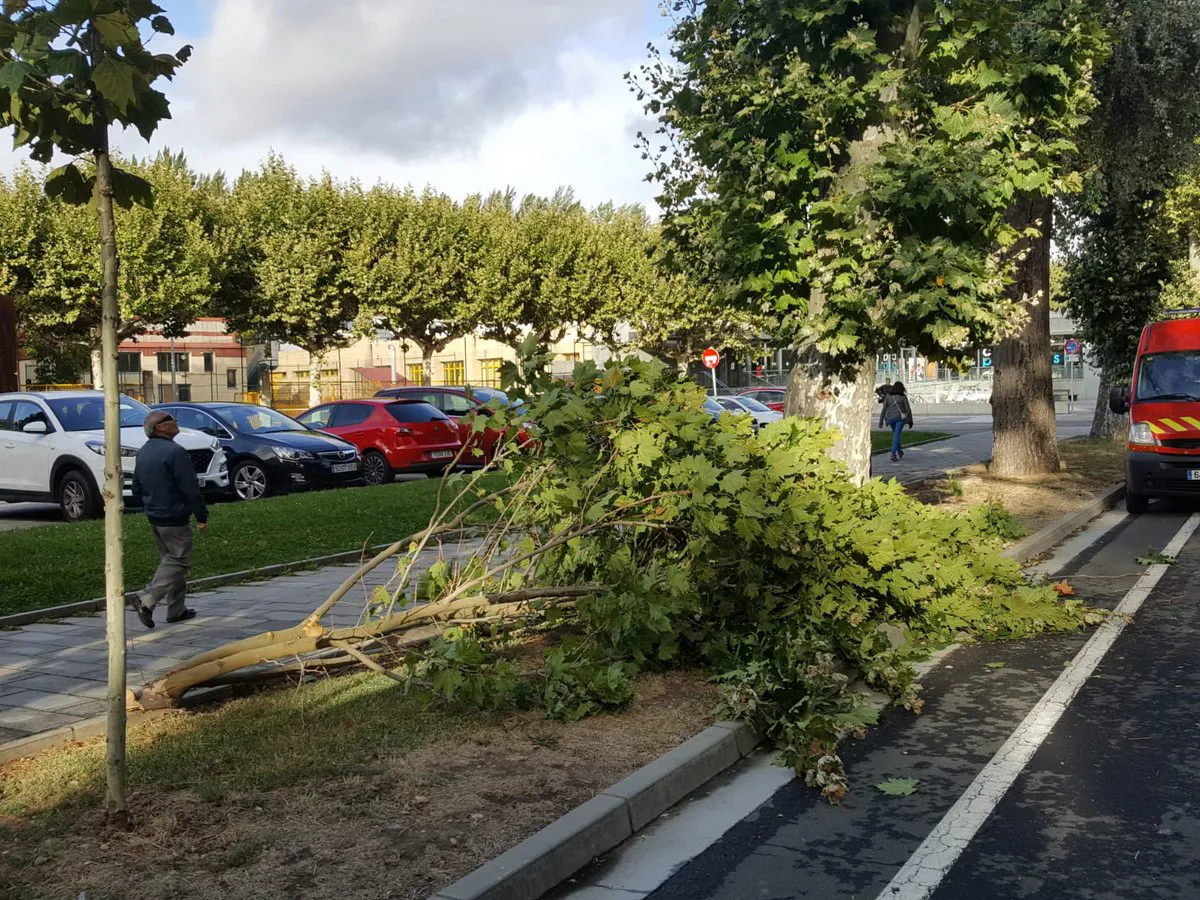 Nivel amarillo por fuertes rachas de viento en Burgos