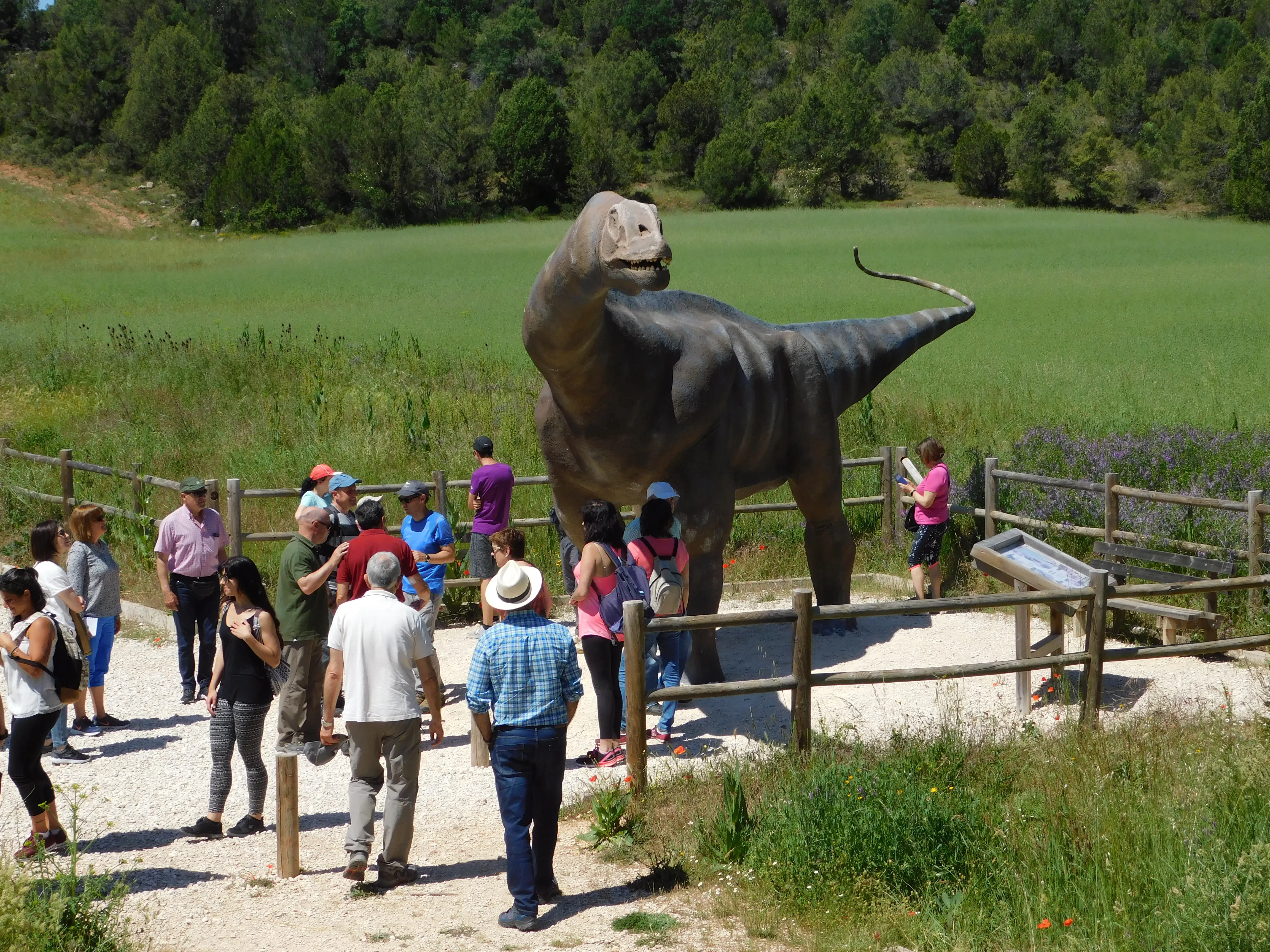 El Museo de Dinosaurios de Salas de los Infantes se suma a la celebración de la Semana de la Ciencia