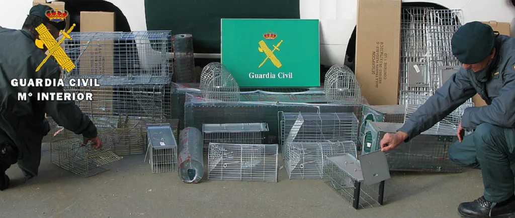 Intervienen en un comercio 31 jaulas trampa para capturar animales