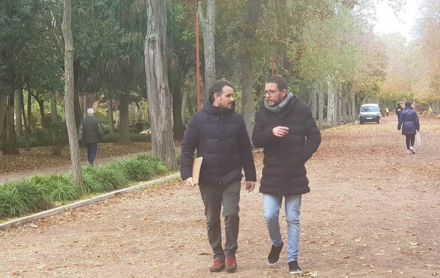 El informe sobre el arbolado revela que está envejecido pero no es necesario realizar talas