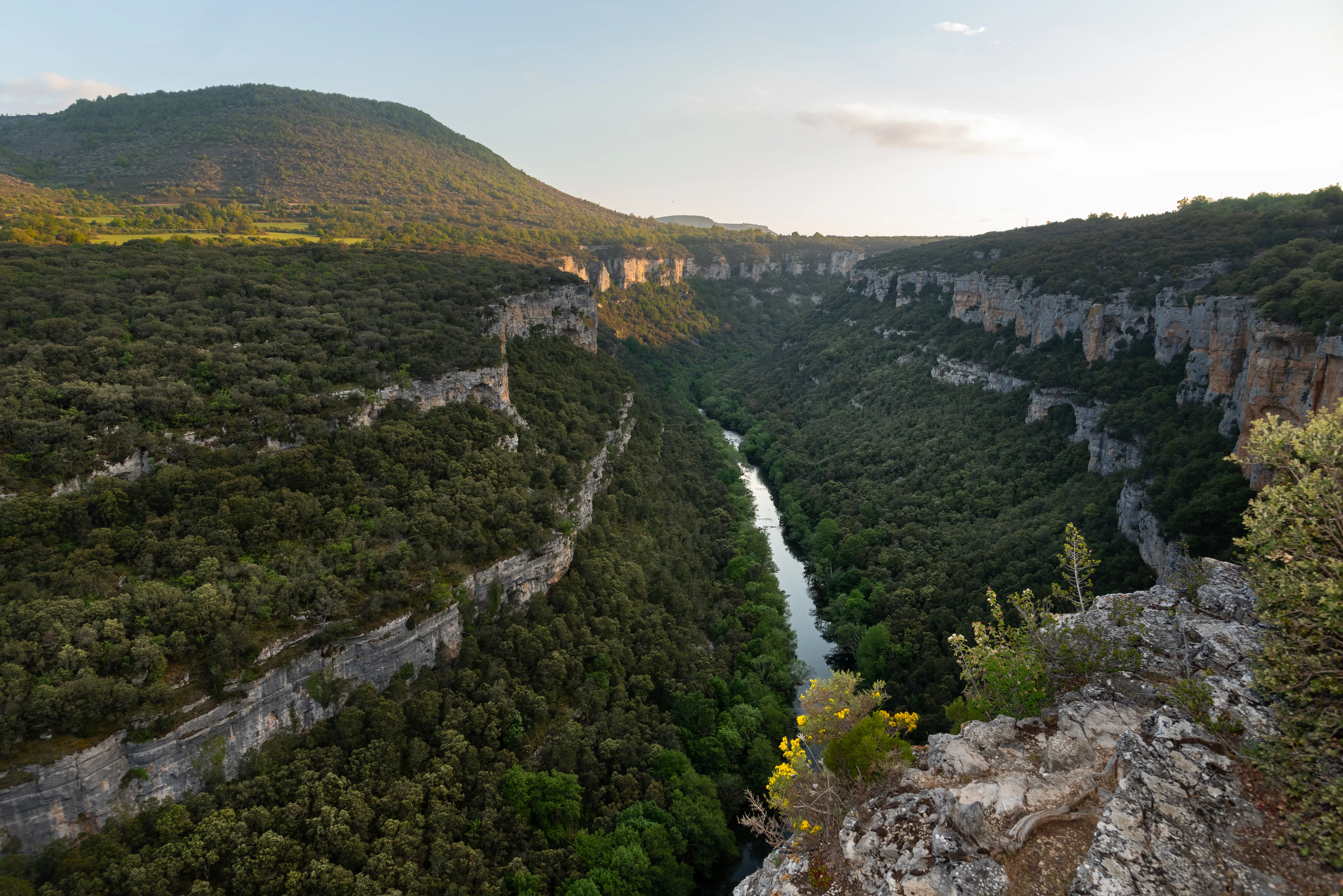 Incremento de caudales en la margen derecha de la cuenca alta del Ebro