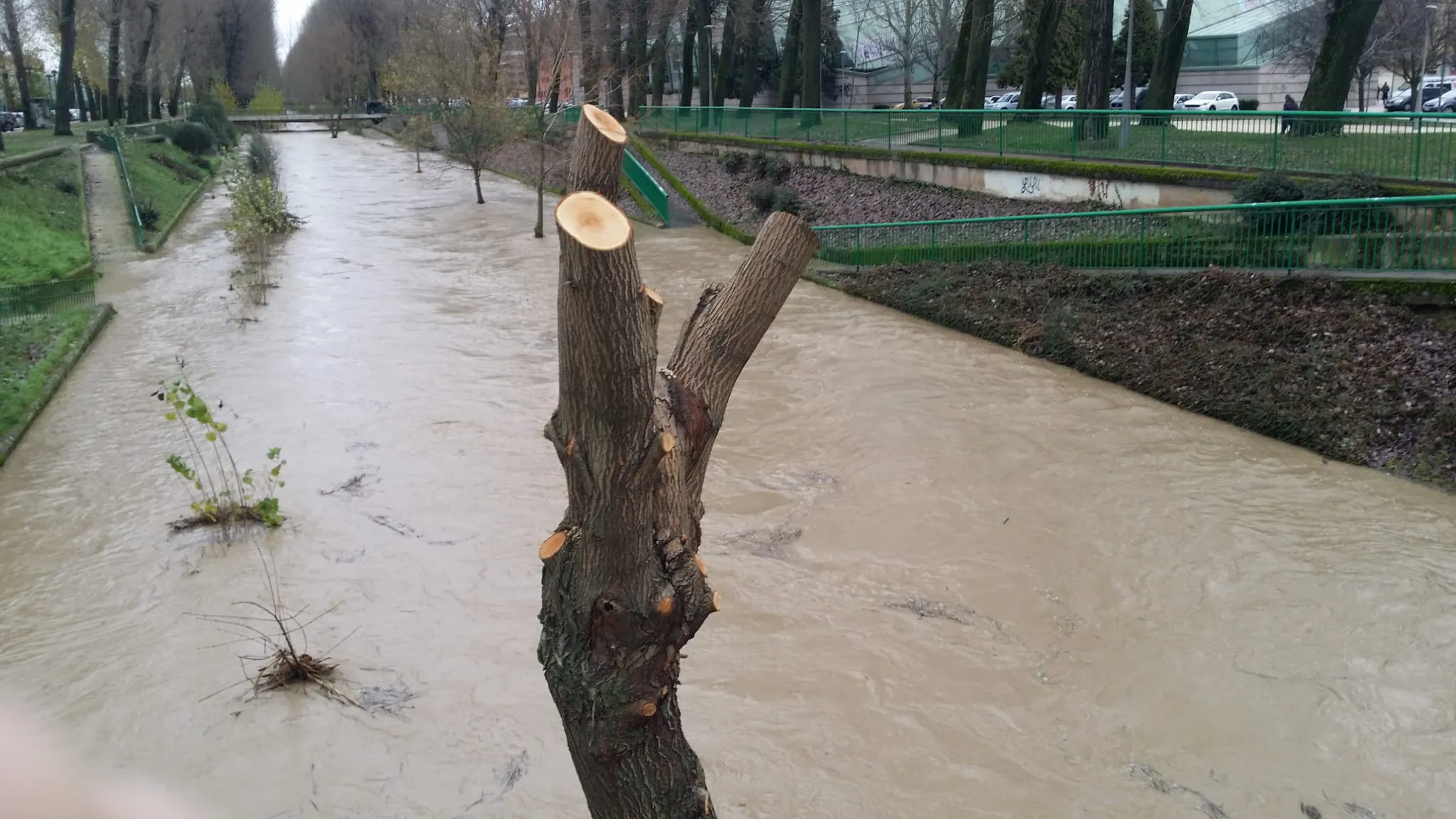 El río Vena a punto del desborde