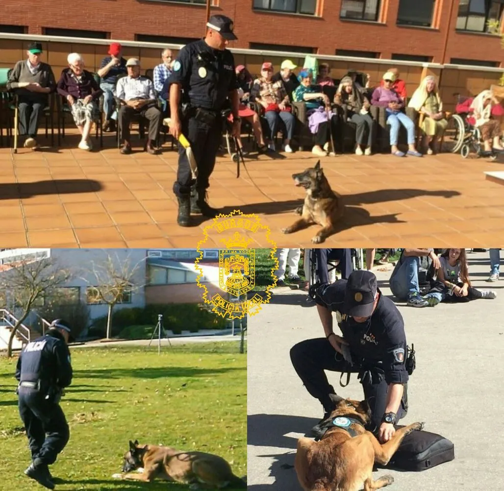 La Unidad Canina de la Policía Local, modelo de referencia europea por su trabajo en formación del sistema marcaje Lapa