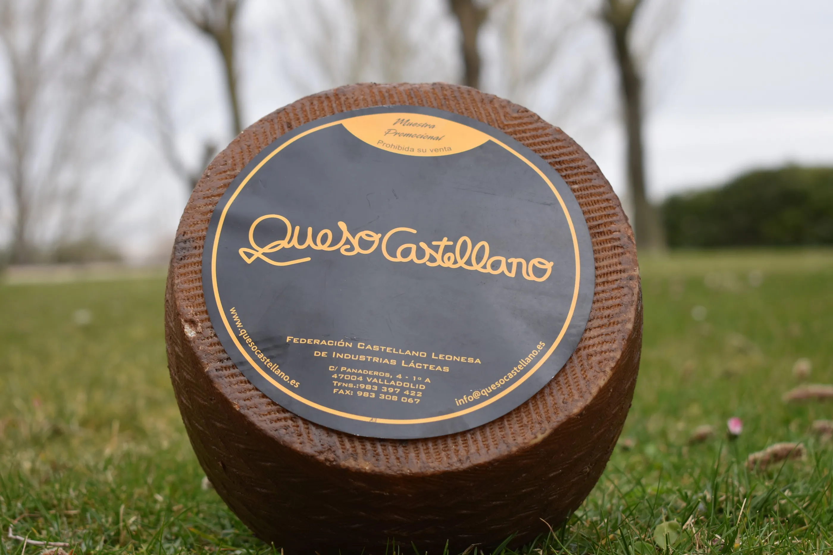 ‘Queso Castellano’ logra el reconocimiento de la UE como IGP, con representación burgalesa