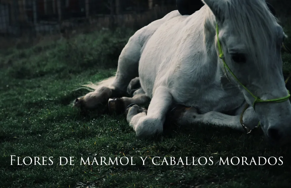 Alumnos de Comunicación Audiovisual estrenan dos cortometrajes online
