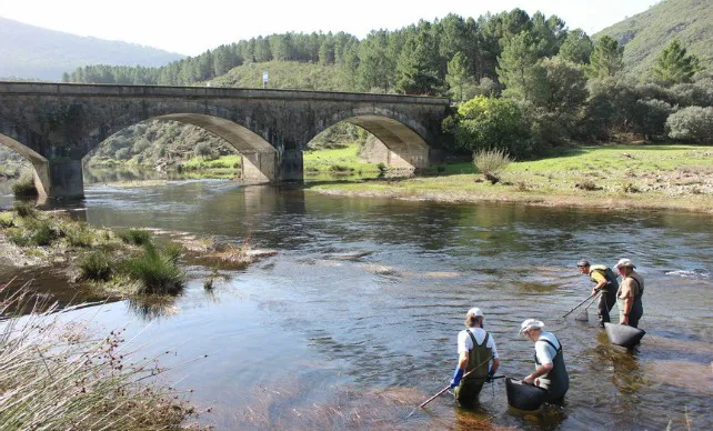 Sorprenden a un pescador en la reserva de caza de la Sierra de la Demanda