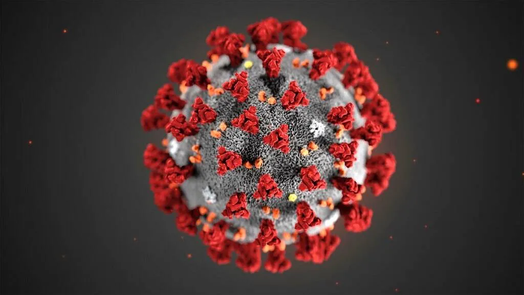 El enigma del coronavirus: por qué unos lo sufren tanto y otros tan poco