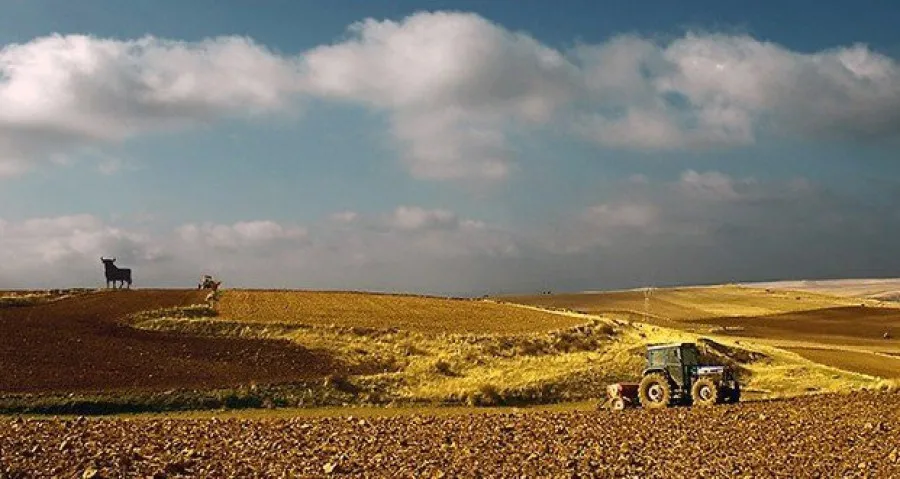 La Junta evalúa el impacto del COVID-19 en el sector agrario