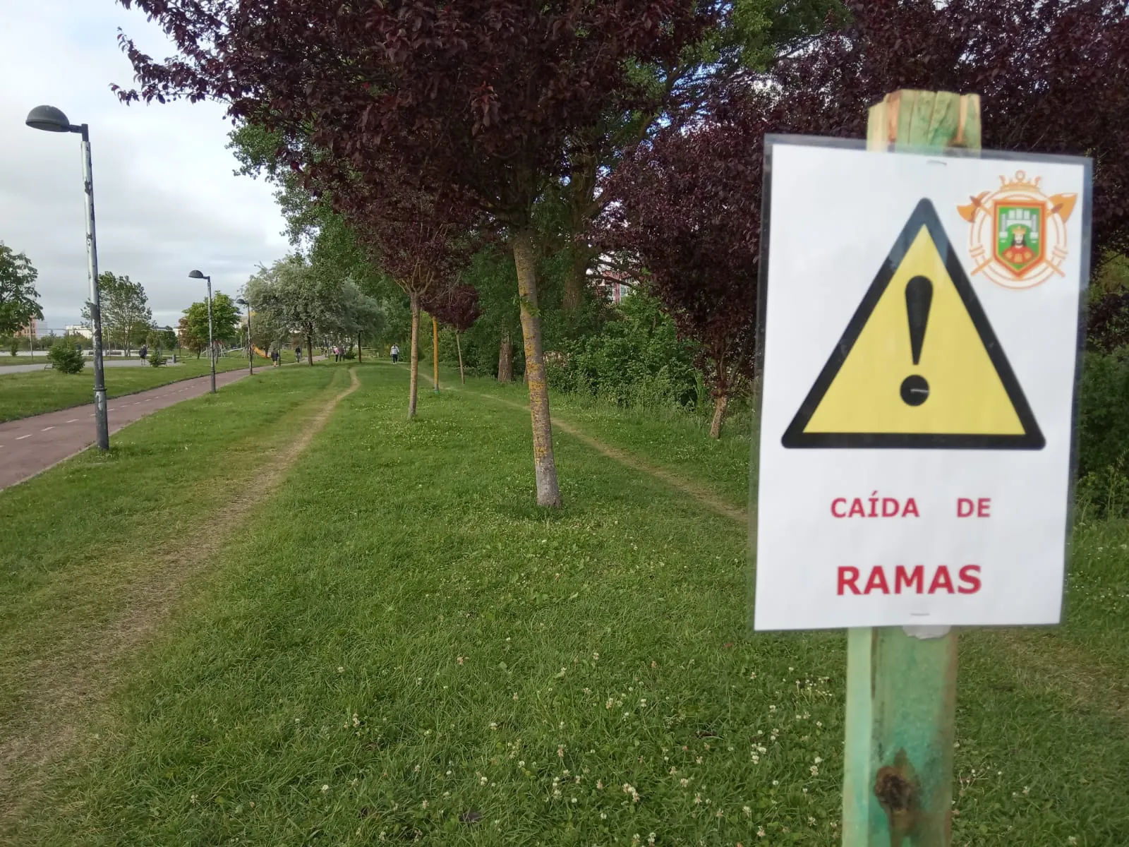 PCAS-TC alucina ante las medidas del Ayuntamiento por la caída de ramas en el Parque del Vena