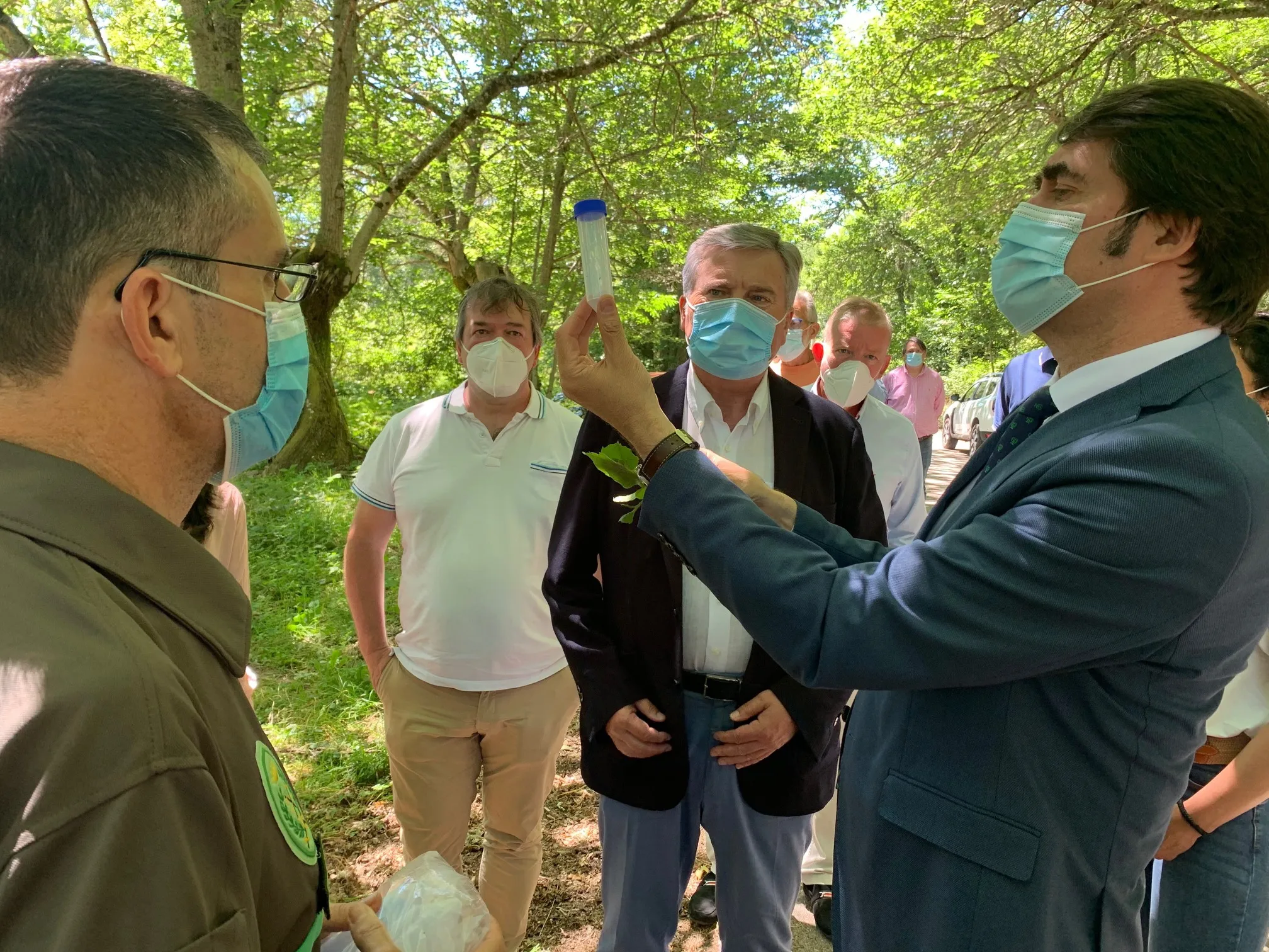 Suárez-Quiñones se muestra optimista sobre los resultados de los trabajos para atajar la plaga de la ‘avispilla del castaño’