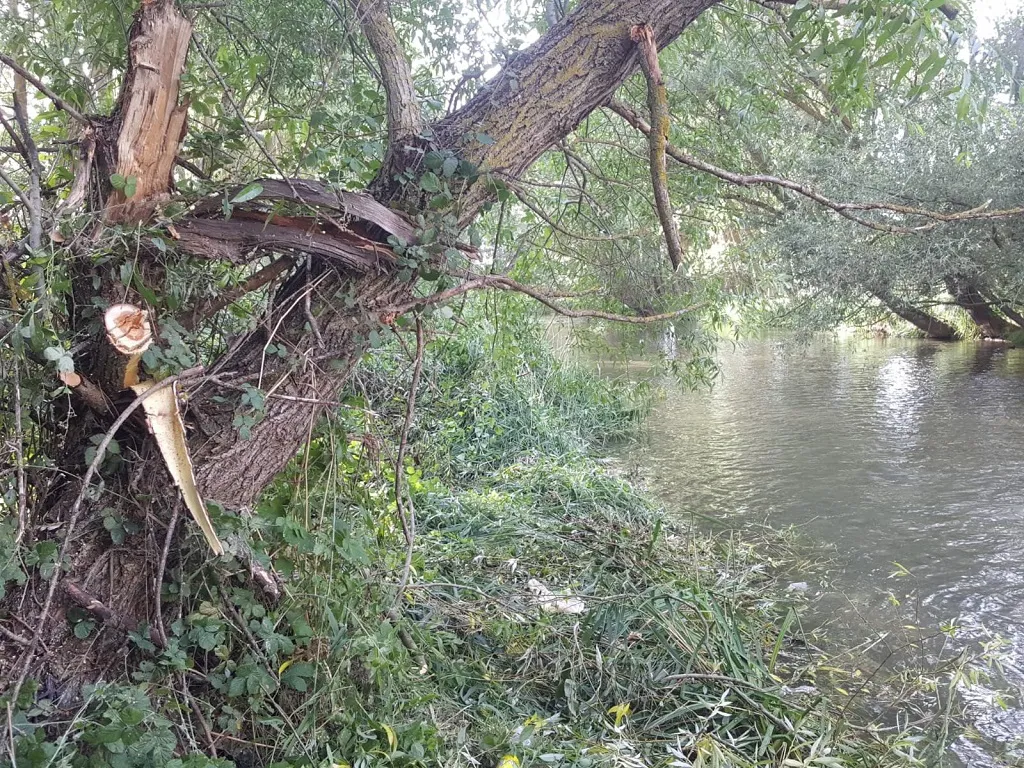 Aviso amarillo en la Meseta de Burgos por tormentas