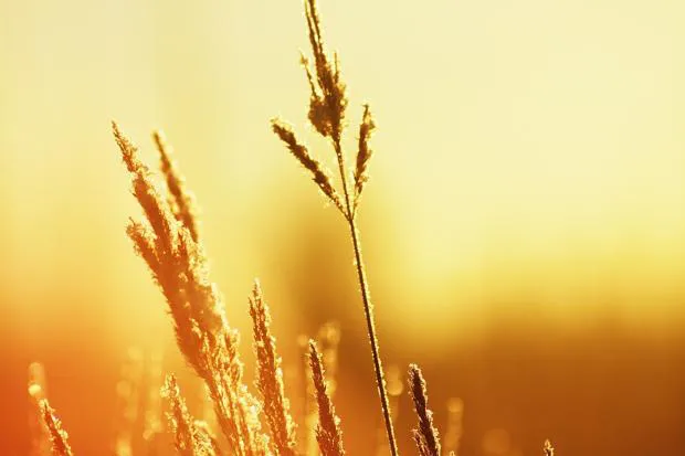 Los veranos en España en 2050 verán los 50ºC en el termómetro, con dos meses de noches tropicales y lluvias torrenciales