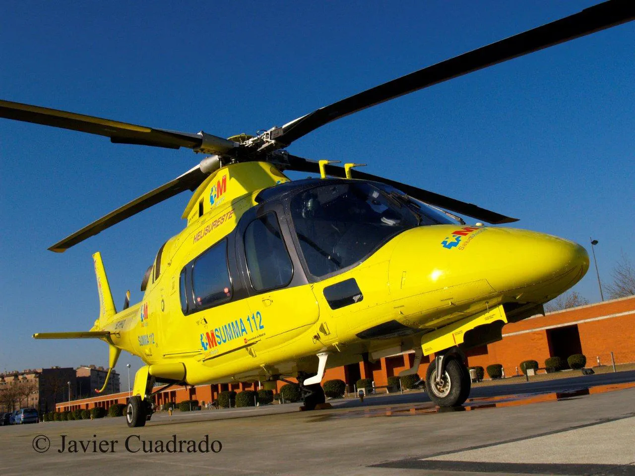 Dos motoristas han resultado heridos tras impactar con un corzo en Tórtoles de Esgueva