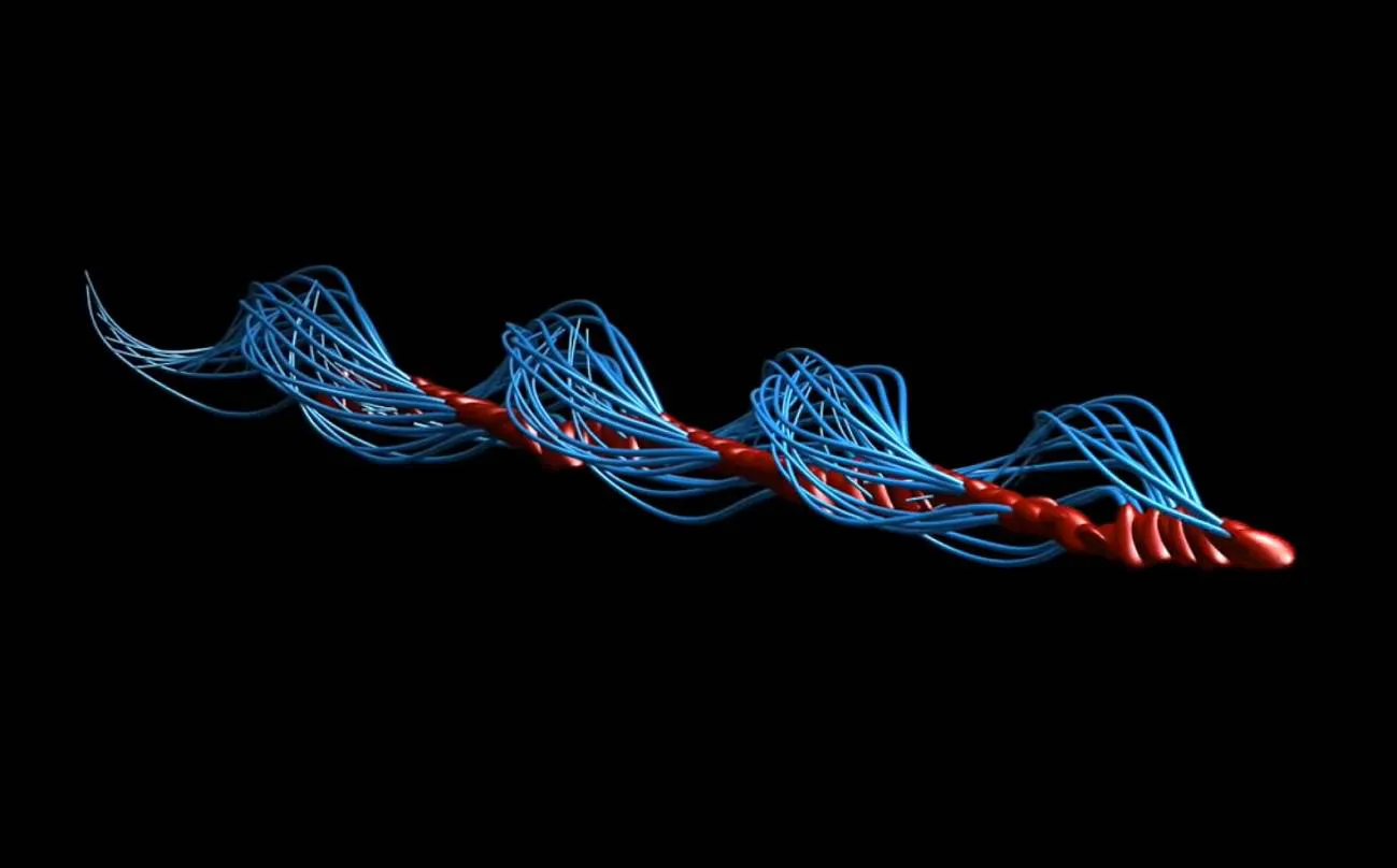 ¿Cómo ‘nadan’ realmente los espermatozoides humanos?