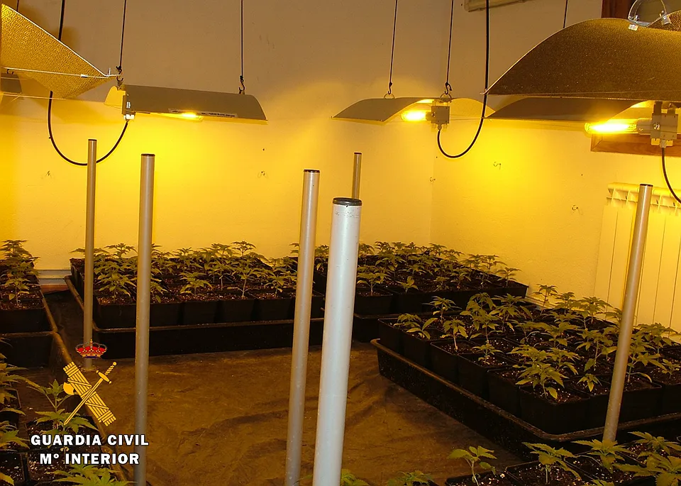 Economía y Empresa Burgos: De cafés a fabricantes de grinders: todos los sectores y negocios que se favorecerán de la legalización del cannabis