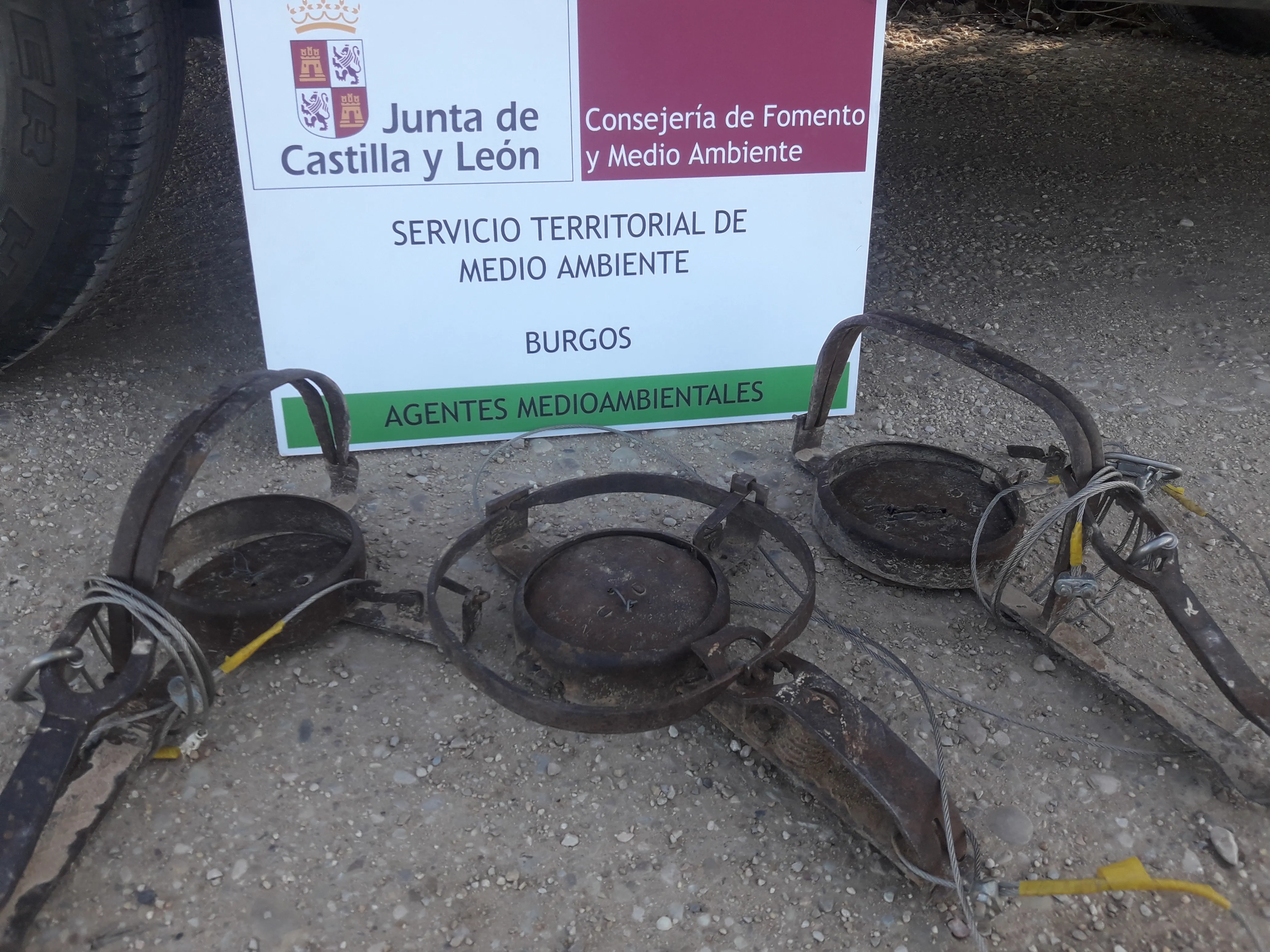 La Junta de Castilla y León desactiva tres cepos en Aranda de Duero