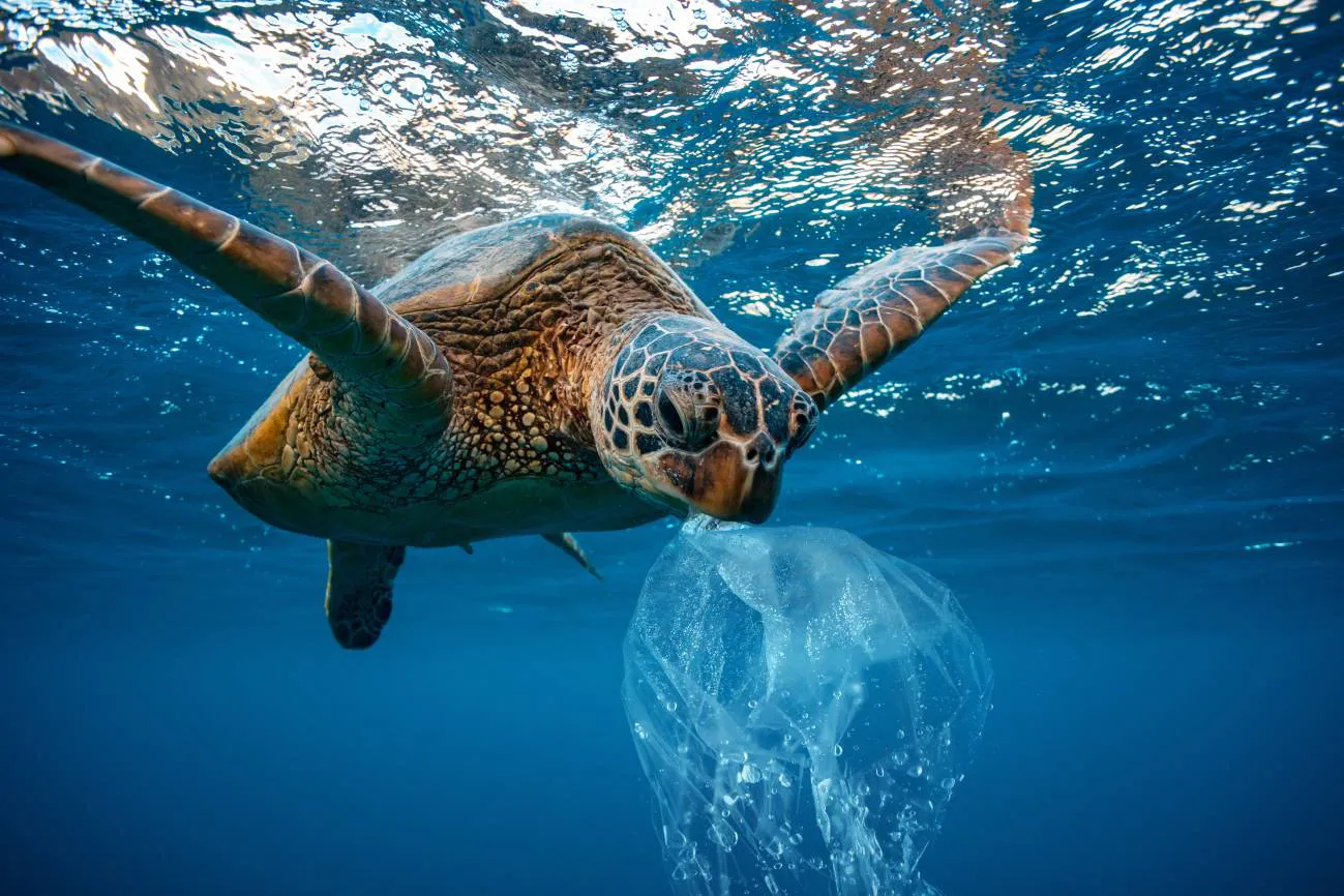 El oceáno Atlántico tiene más microplásticos que los que se creía