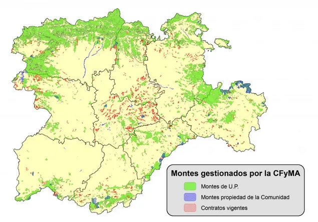 ​Castilla y León cuenta con el mayor número de montes declarados de utilidad pública de toda España