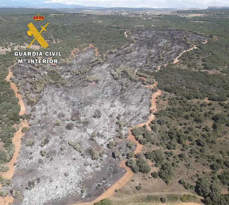 La Guardia Civil investiga a una persona por un delito de incendio forestal