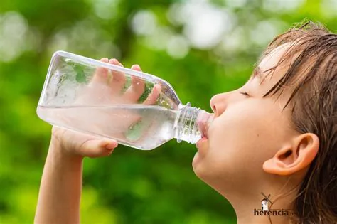 Así somos capaces de regular la sensación de sed casi al instante