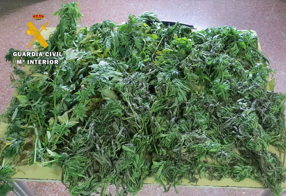 La Guardia Civil aprehende 3 kilogramos de marihuana transportados en un vehículo