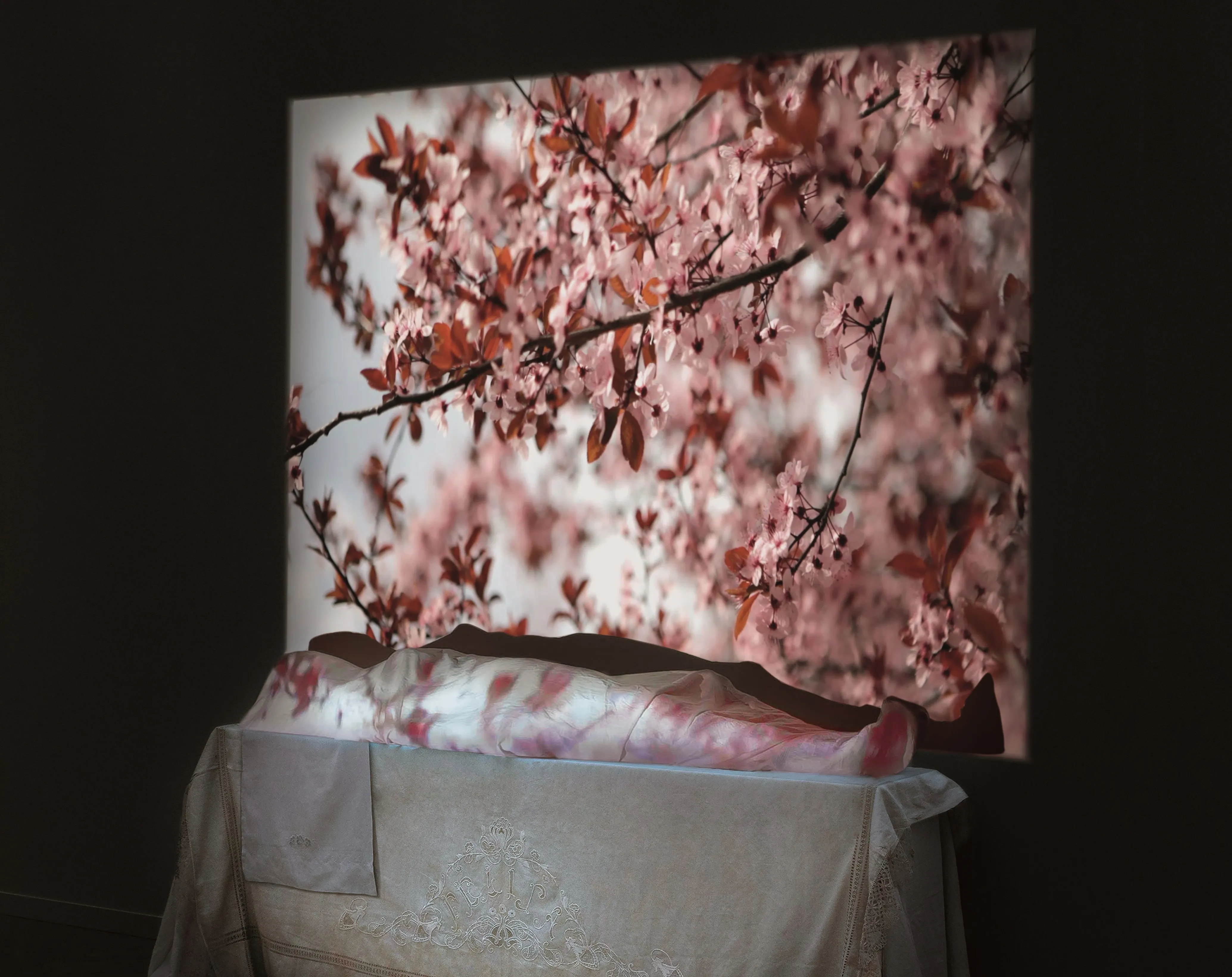 La artista burgalesa Paloma Navares expone en el MUSAC El vuelo. 1978-2018, una muestra que recorre toda su carrera